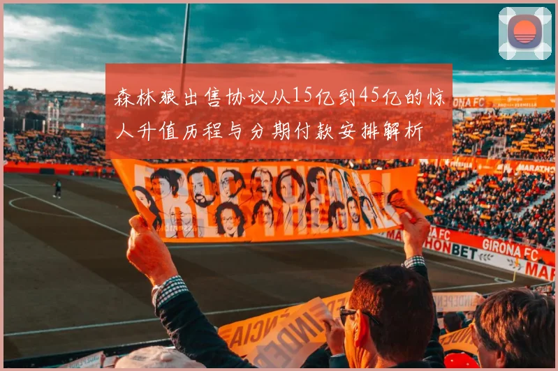 森林狼出售协议从15亿到45亿的惊人升值历程与分期付款安排解析