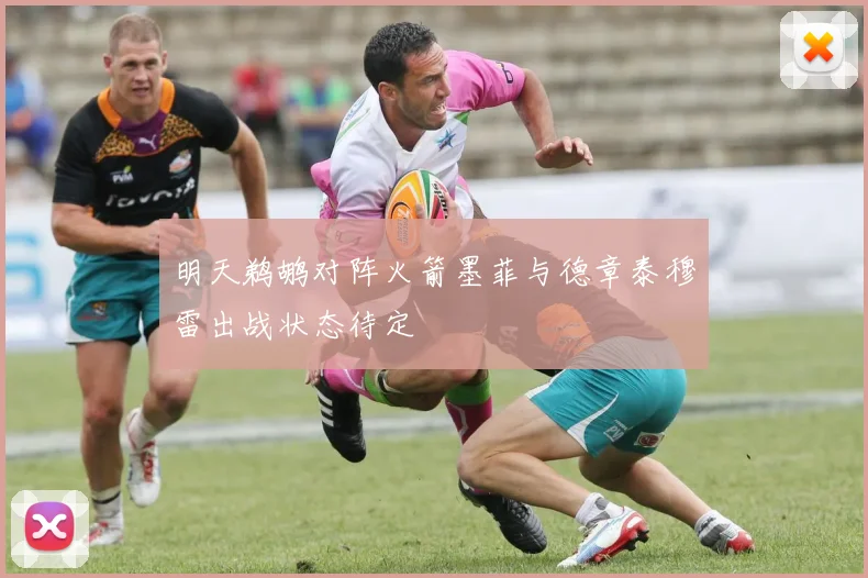 明天鹈鹕对阵火箭墨菲与德章泰穆雷出战状态待定